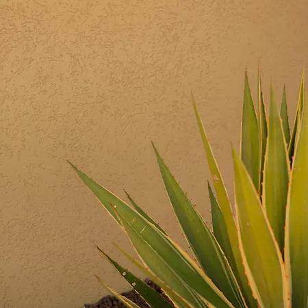 빌라 Silence 페티예