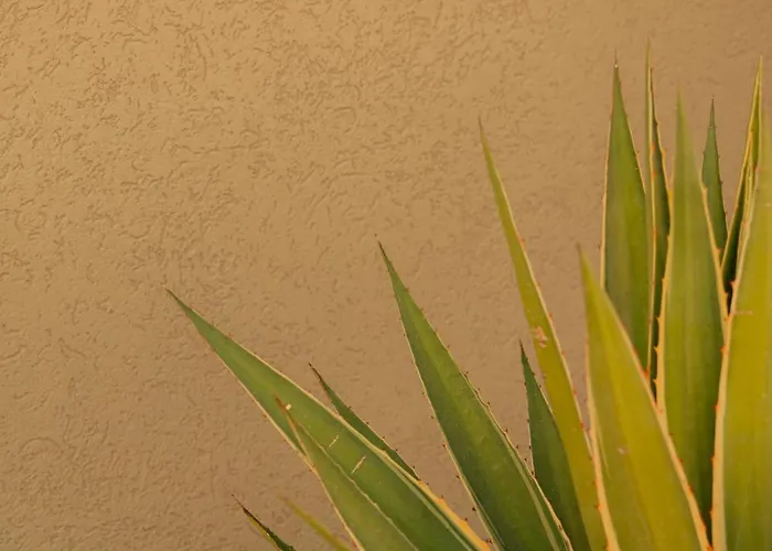 Βίλα Silence Φετιγιέ